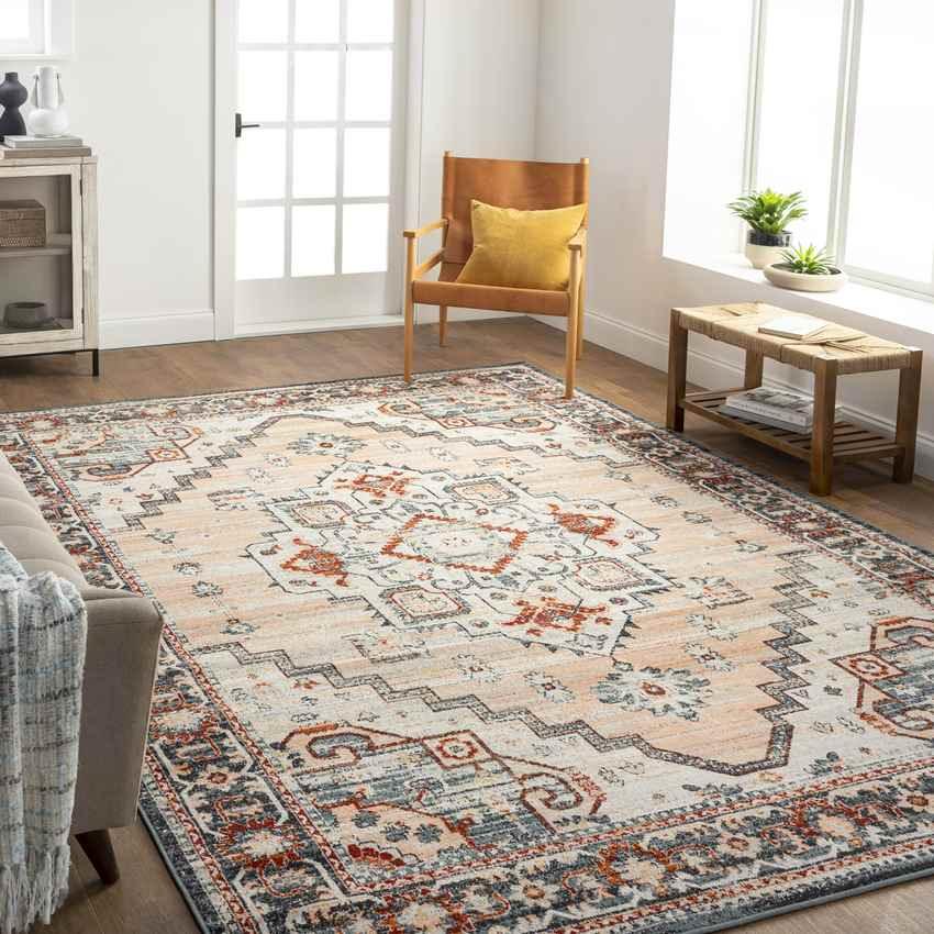 Ambia Traditional Peach Area Rug