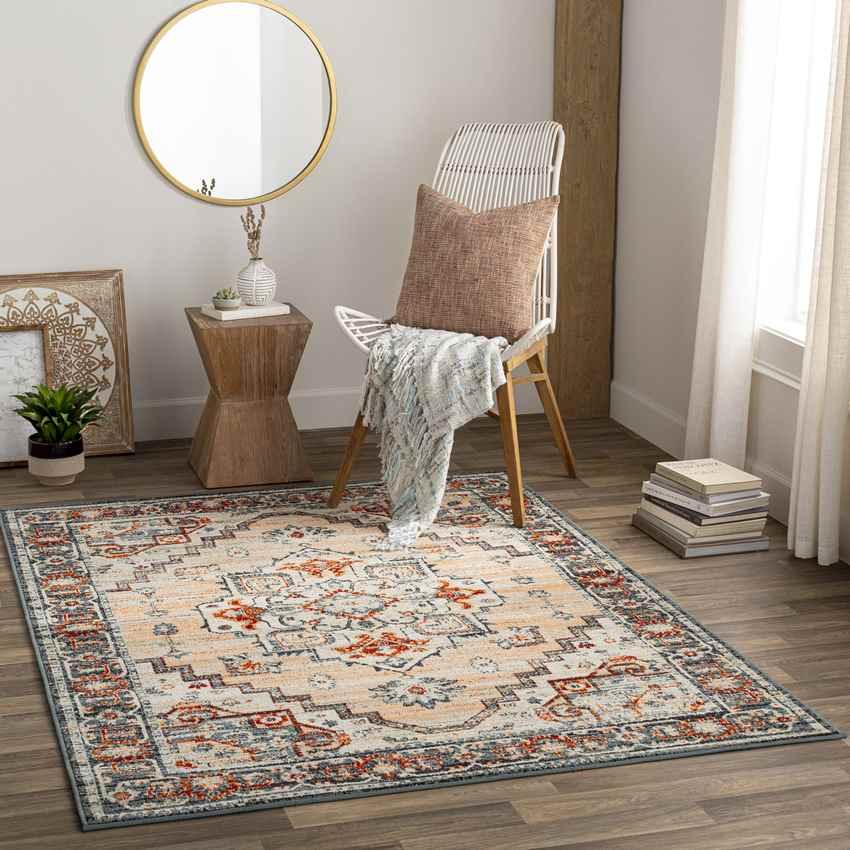 Ambia Traditional Peach Area Rug