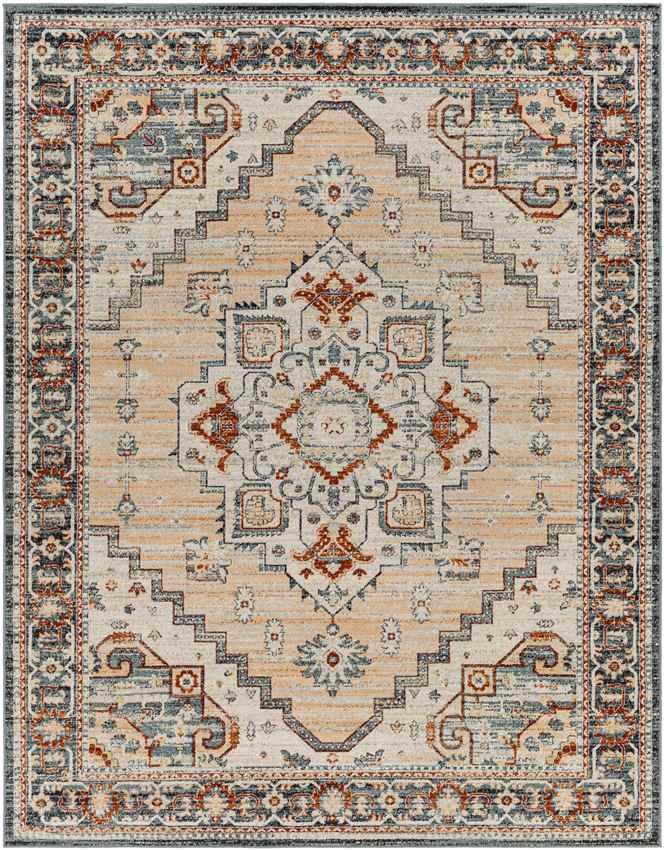 Ambia Traditional Peach Area Rug