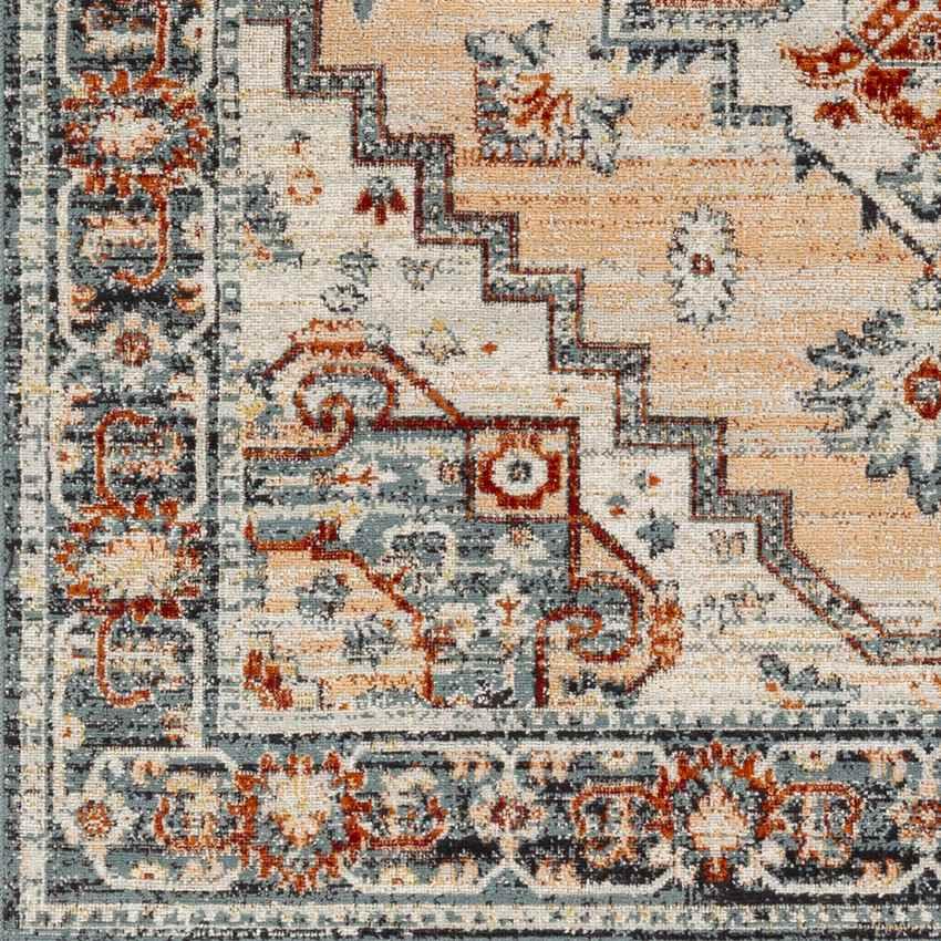 Ambia Traditional Peach Area Rug