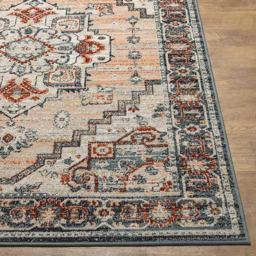 Ambia Traditional Peach Area Rug