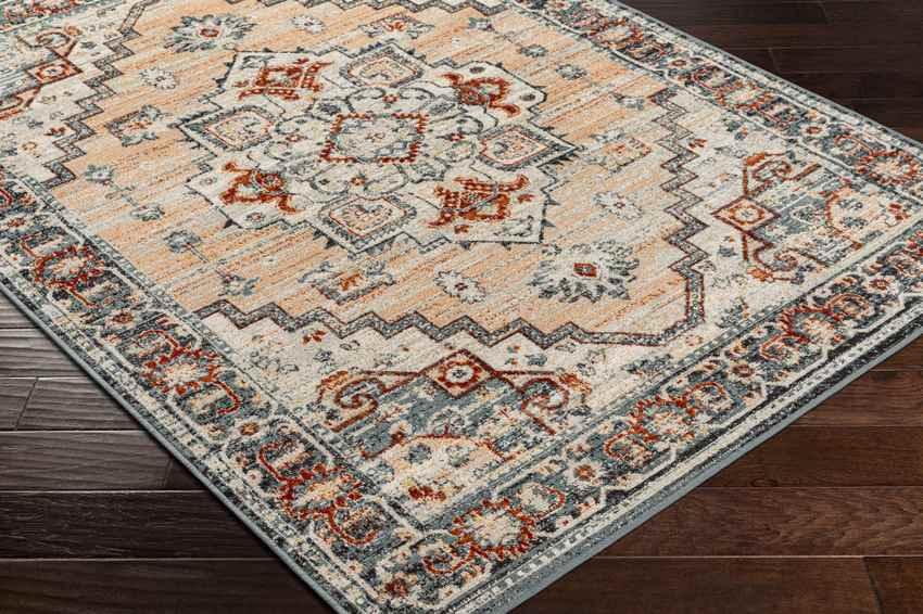 Ambia Traditional Peach Area Rug