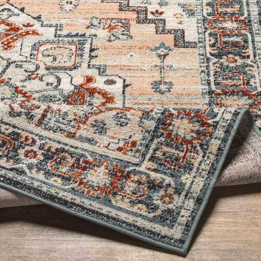 Ambia Traditional Peach Area Rug