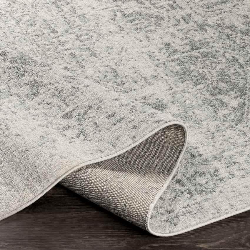 Amelia Traditional Charcoal/Light Gray/Beige Area Rug