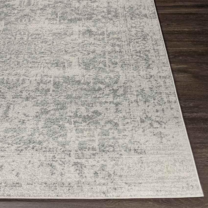 Amelia Traditional Charcoal/Light Gray/Beige Area Rug