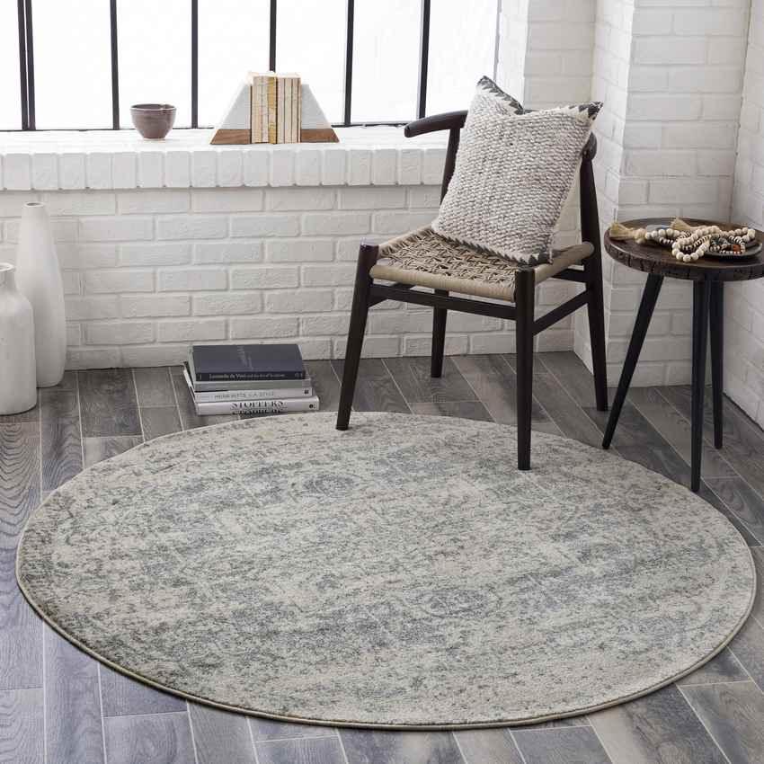 Amelia Traditional Charcoal/Light Gray/Beige Area Rug