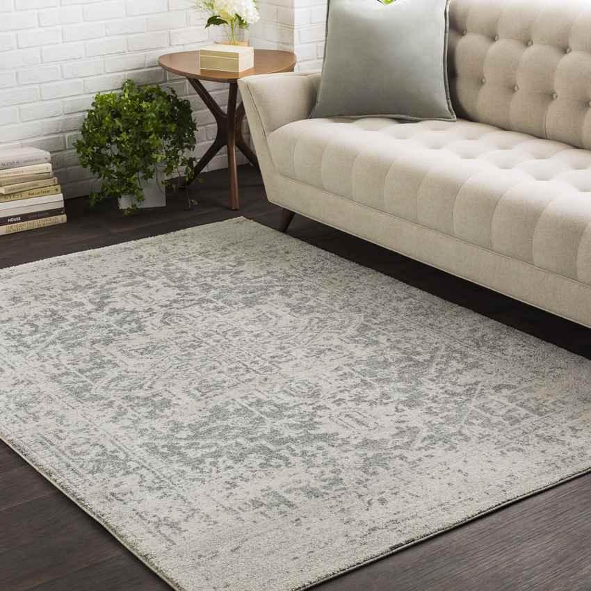 Amelia Traditional Charcoal/Light Gray/Beige Area Rug