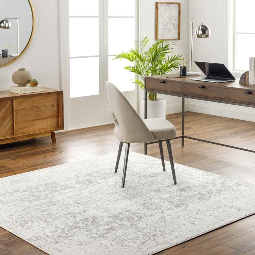 Amelia Traditional Charcoal/Light Gray/Beige Area Rug