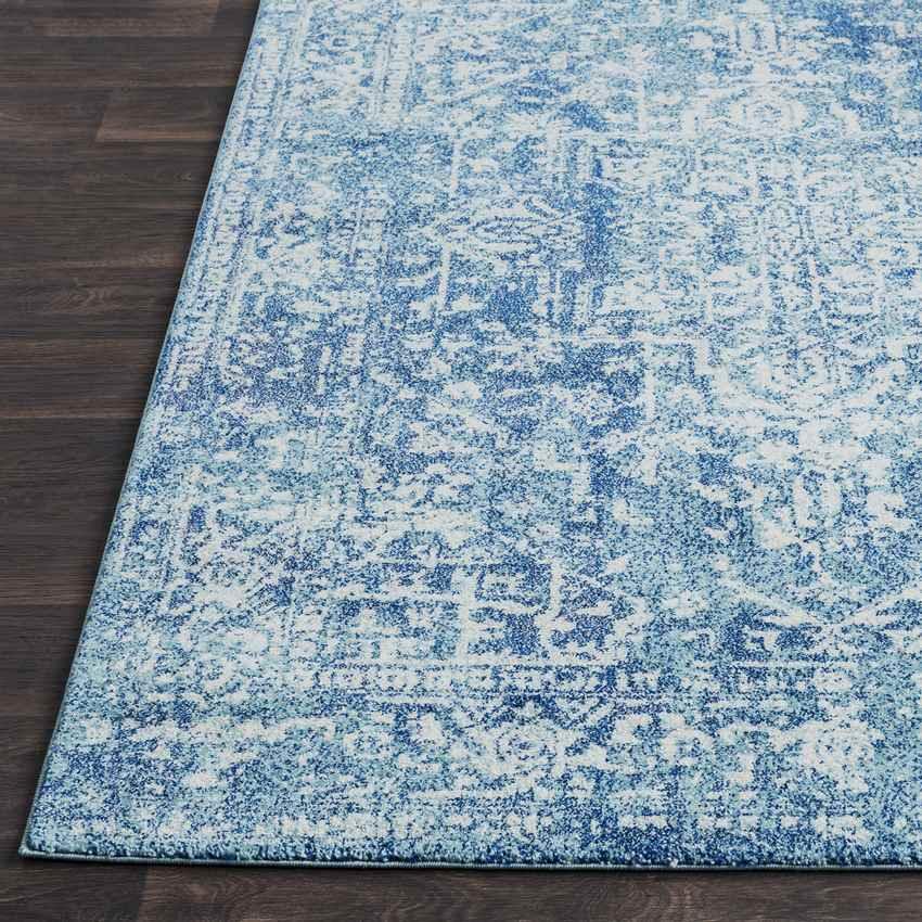 Amelia Traditional Teal Area Rug