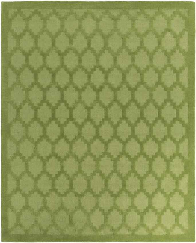 Ames Modern Green Area Rug