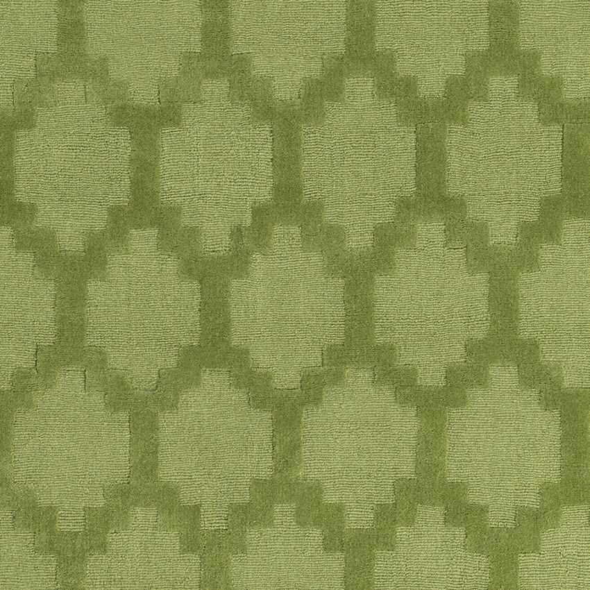 Ames Modern Green Area Rug