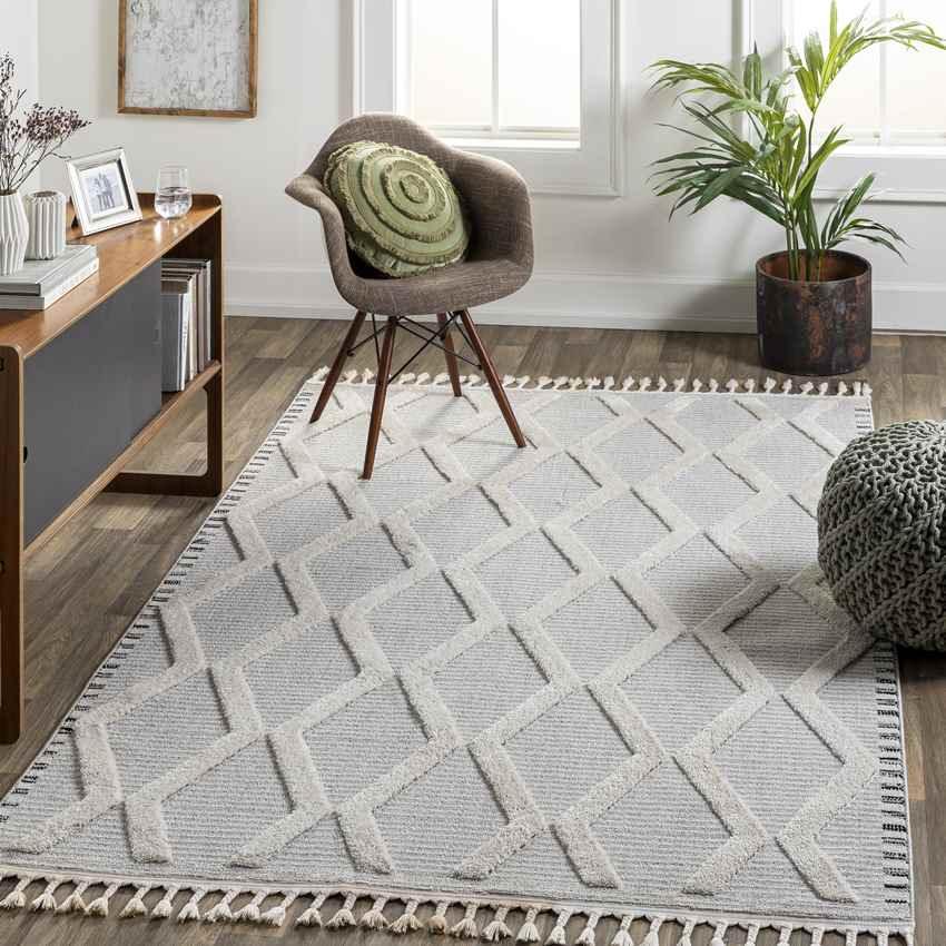 Ammochostos Global Gray Area Rug