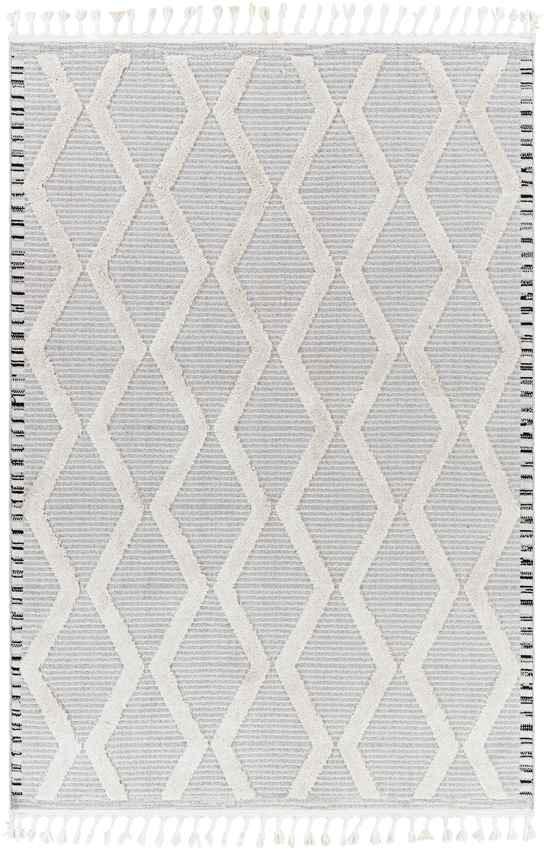 Ammochostos Global Gray Area Rug