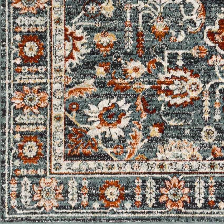 Amo Traditional Navy Area Rug