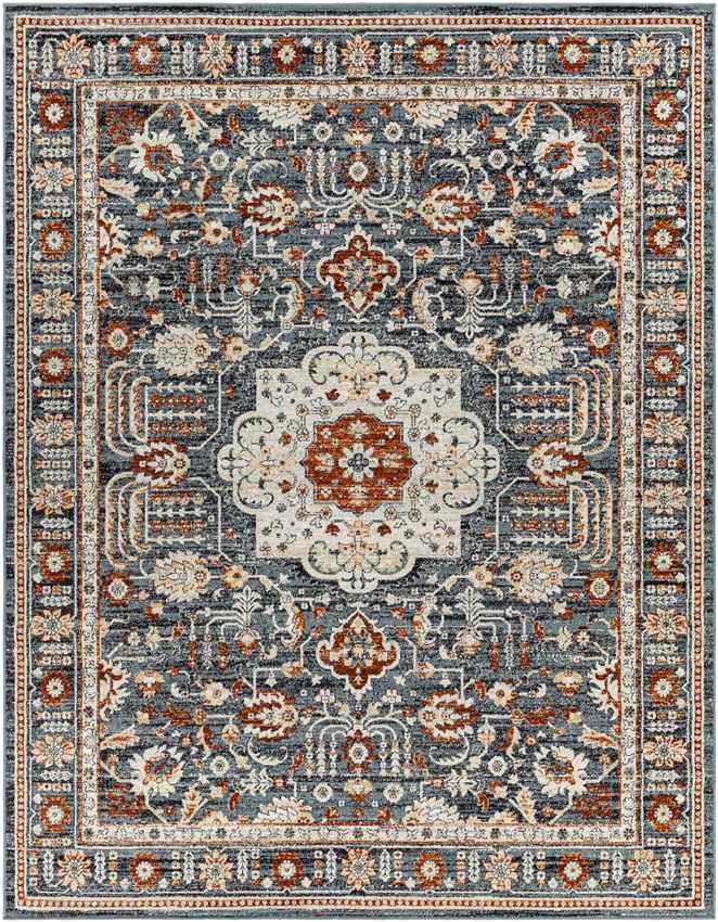 Amo Traditional Navy Area Rug