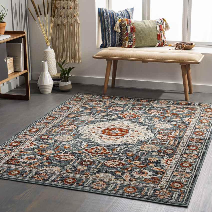 Amo Traditional Navy Area Rug