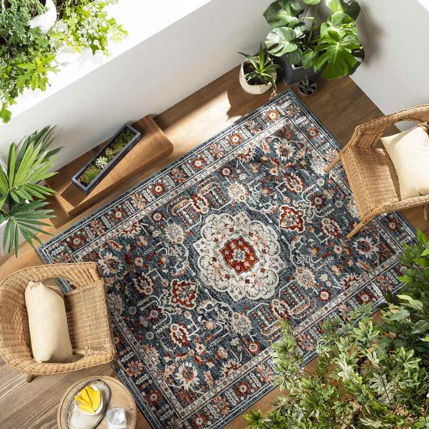 Amo Traditional Navy Area Rug