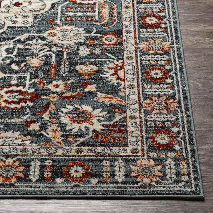 Amo Traditional Navy Area Rug