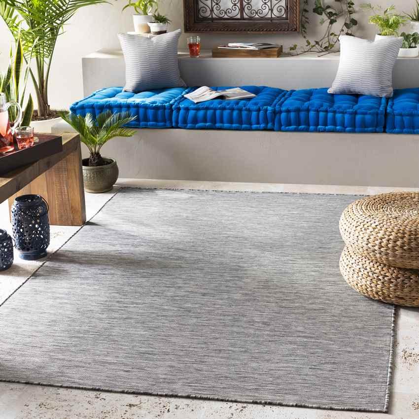 Amour Modern Light Gray Area Rug