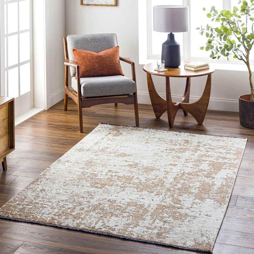 Ampelikou Modern Mocha Area Rug