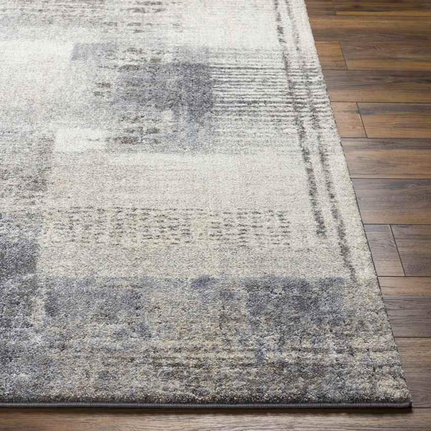 Amrit Modern Off-White/Charcoal Area Rug