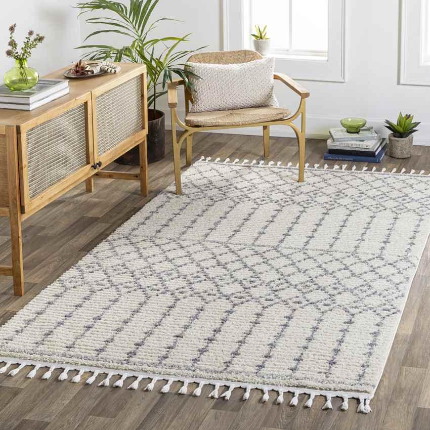 Amvrosios Global Gray Area Rug