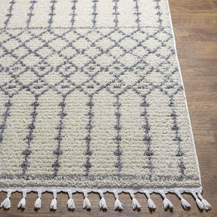 Amvrosios Global Gray Area Rug