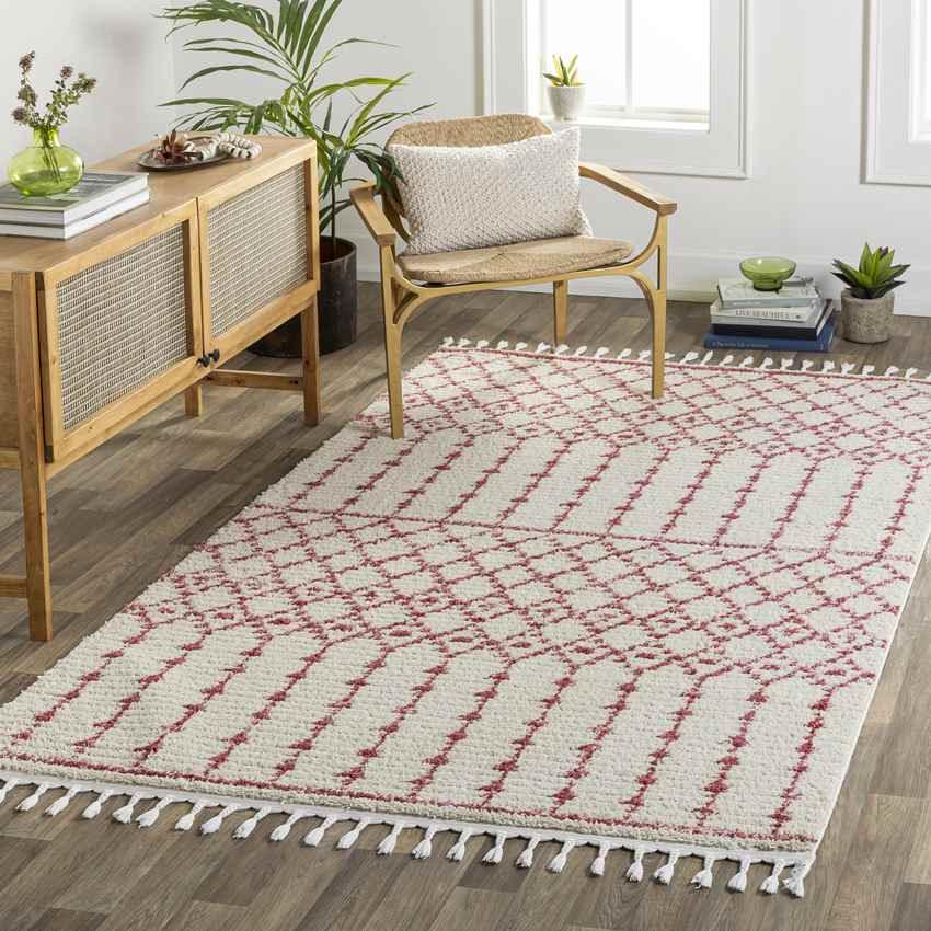 Amvrosios Global Red Area Rug