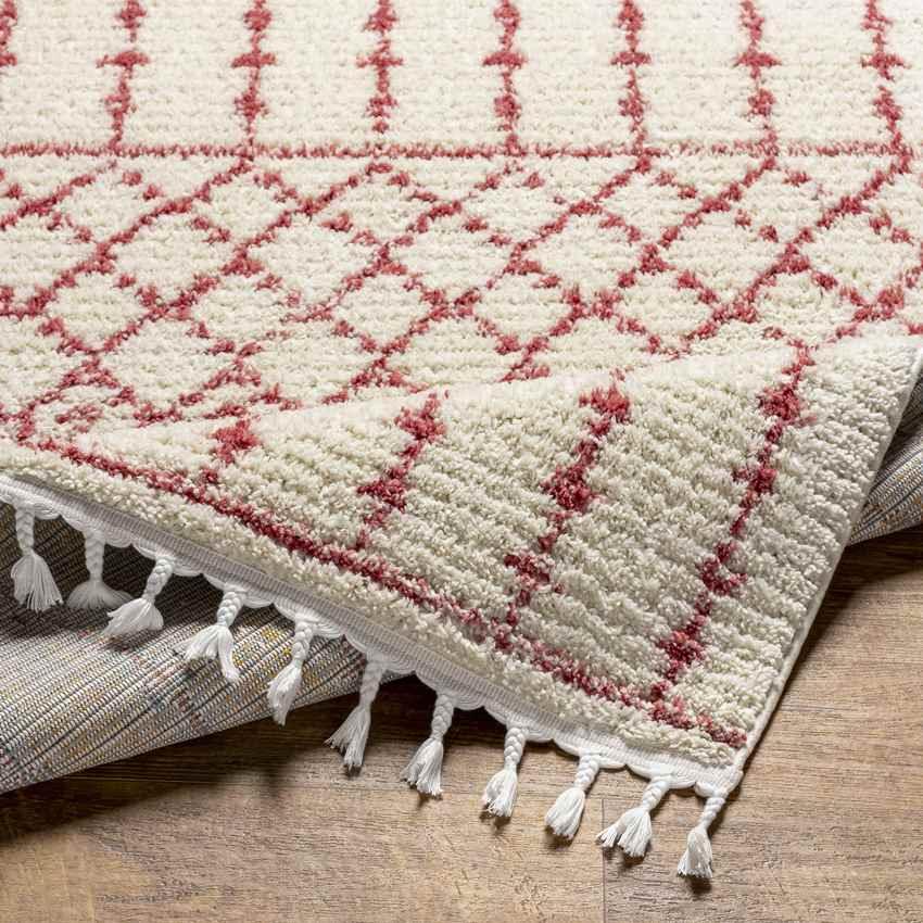 Amvrosios Global Red Area Rug