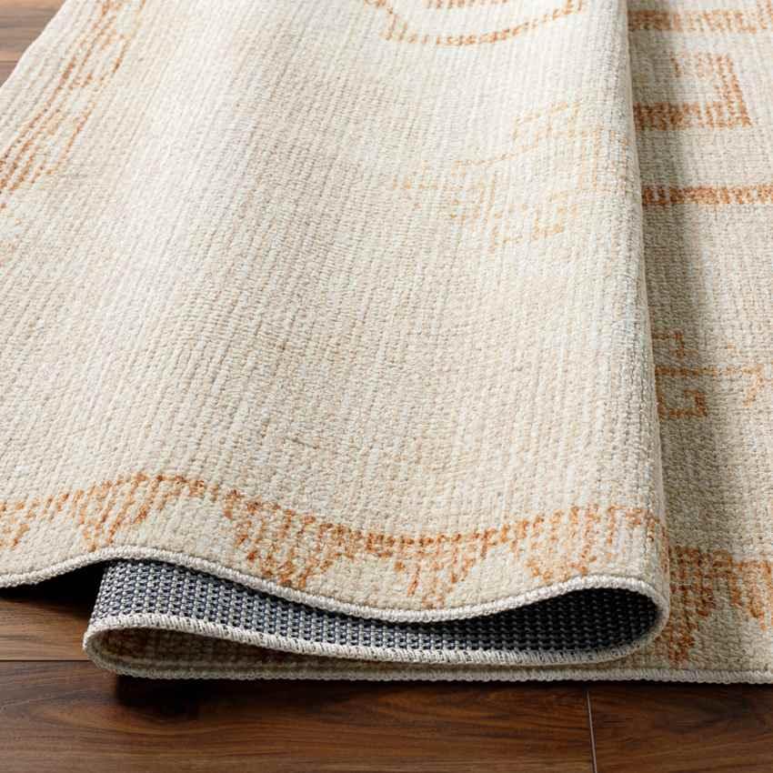 Amye Global Apricot/Beige Area Rug