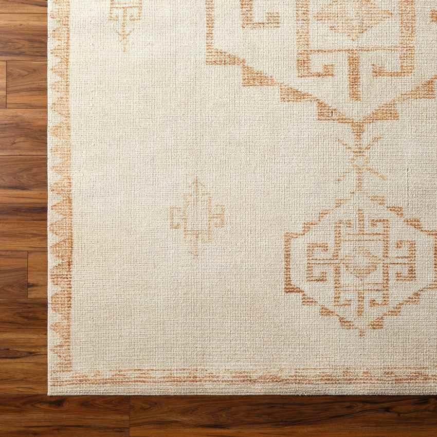 Amye Global Apricot/Beige Area Rug