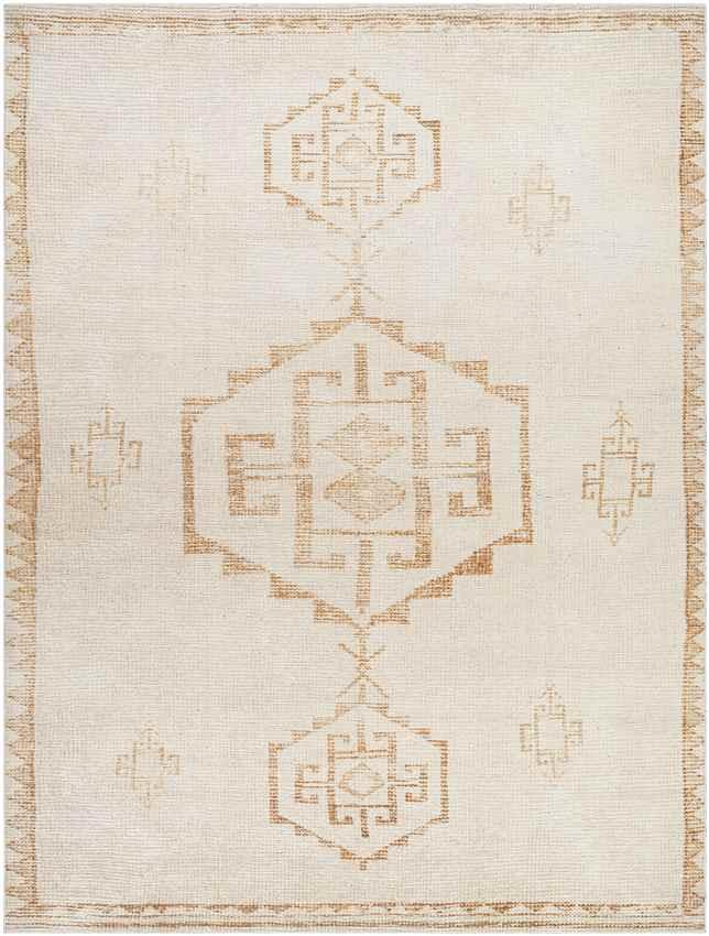 Amye Global Apricot/Beige Area Rug