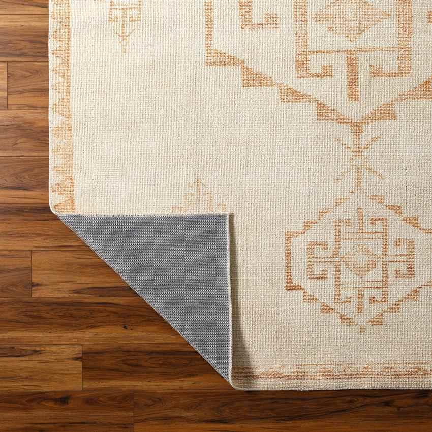 Amye Global Apricot/Beige Area Rug