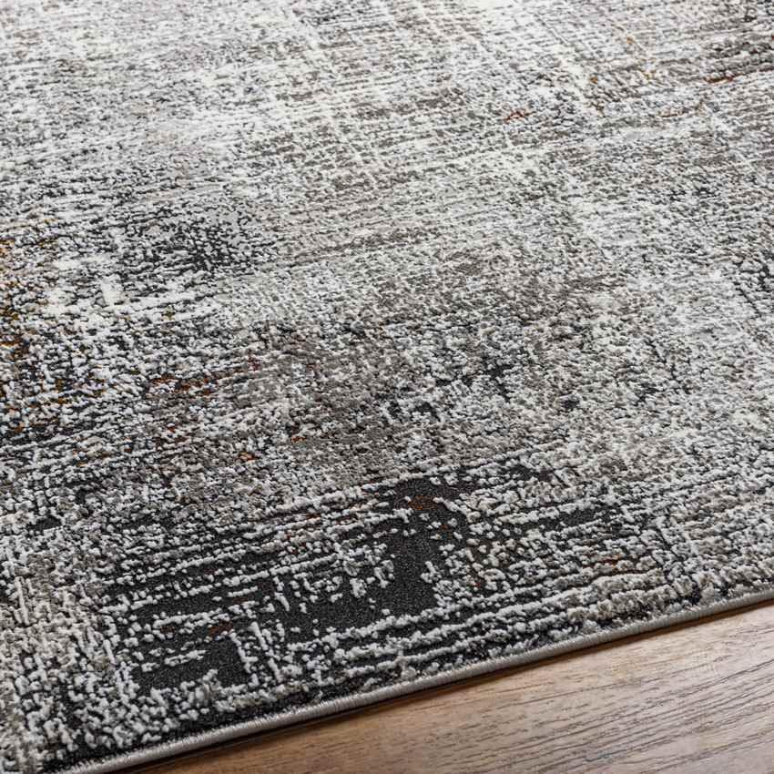 Anamosa Modern Silver Area Rug