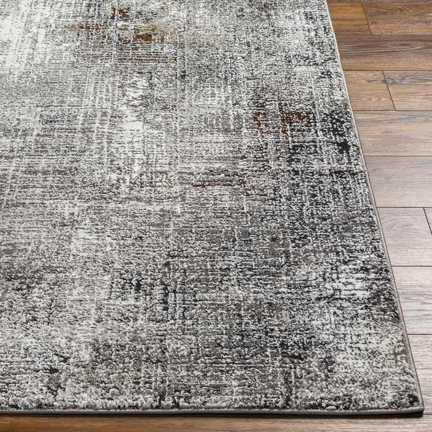 Anamosa Modern Silver Area Rug