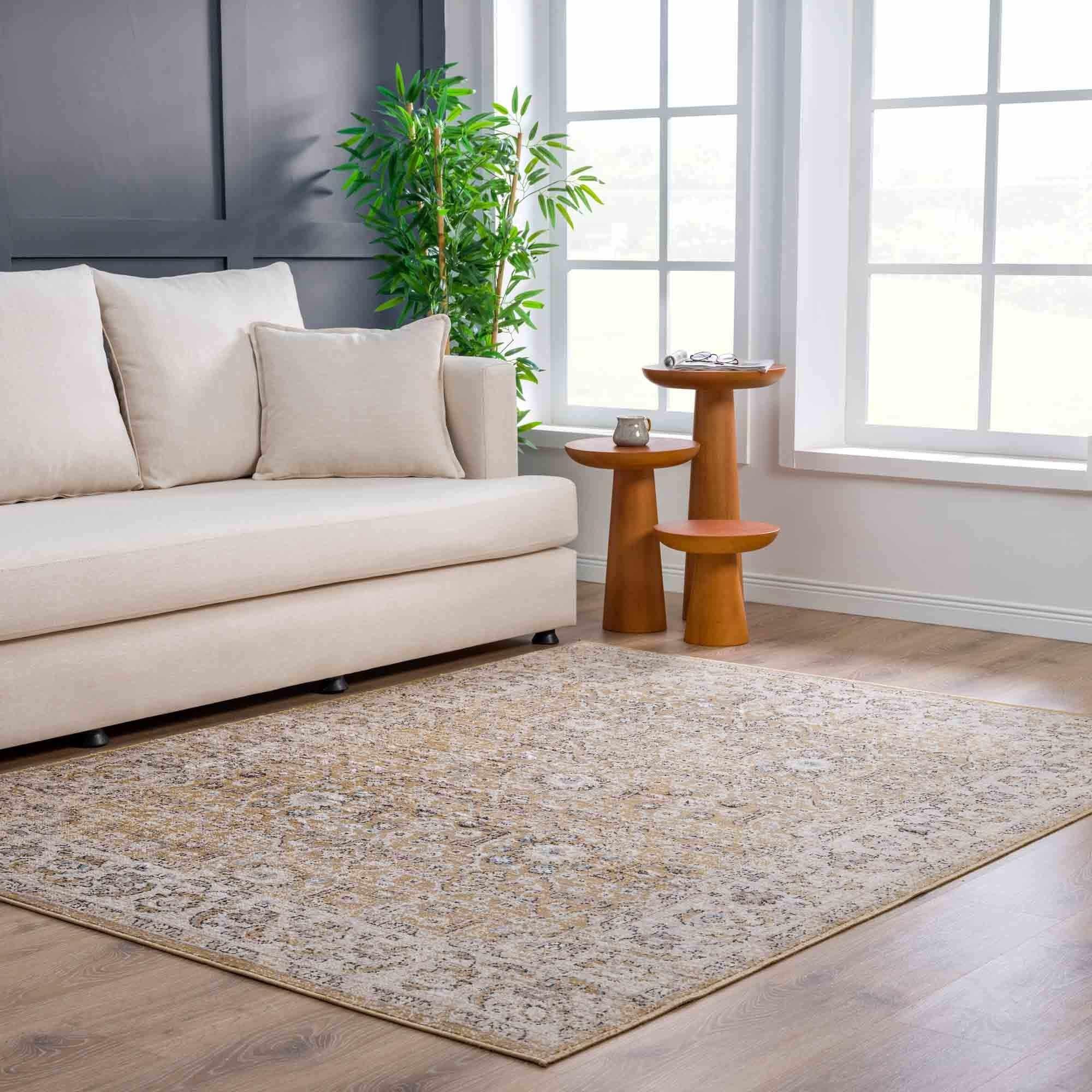 Anana Gold & Beige Area Rug