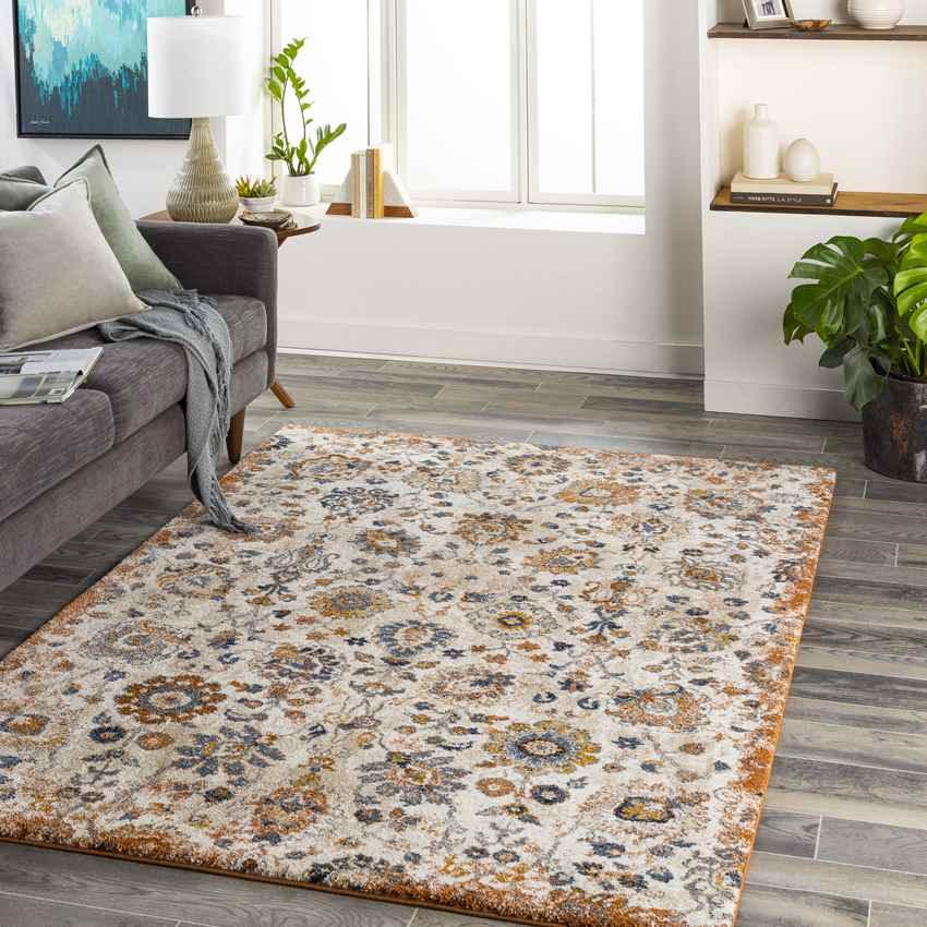 Anarita Traditional Burnt Orange Area Rug