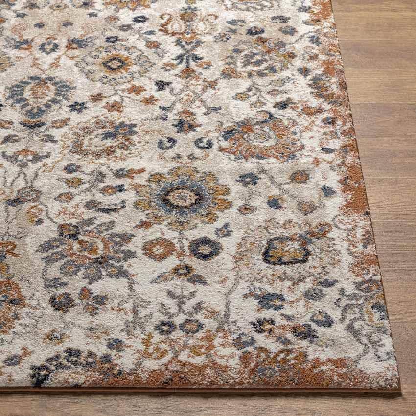 Anarita Traditional Burnt Orange Area Rug