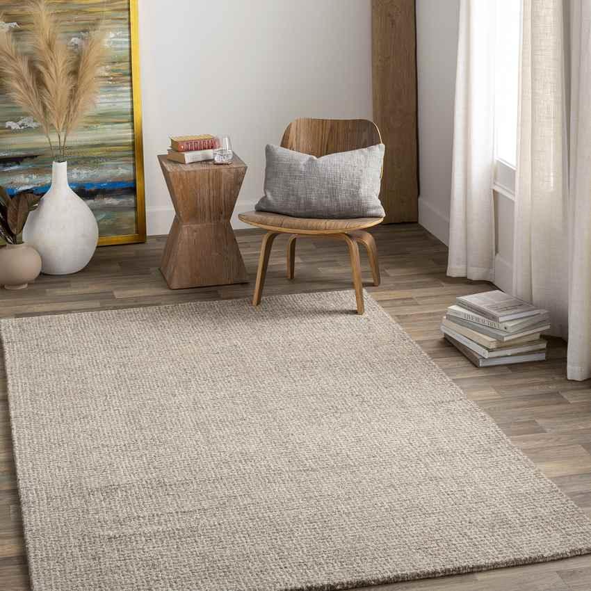 Ancona Modern Medium Gray Area Rug