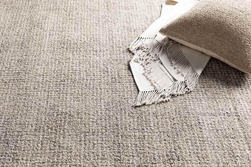 Ancona Modern Medium Gray Area Rug