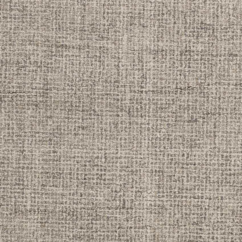 Ancona Modern Medium Gray Area Rug