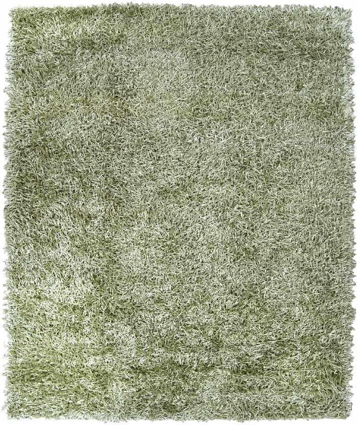 Anderson Modern Light Green Area Rug