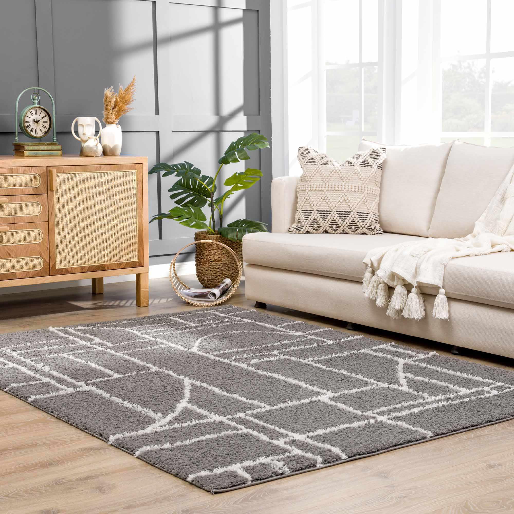 Andia Charcoal Area Rug