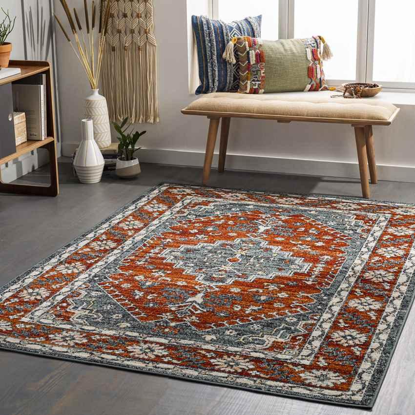 Andrews Traditional Burnt Orange Area Rug