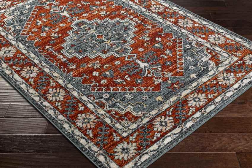 Andrews Traditional Burnt Orange Area Rug