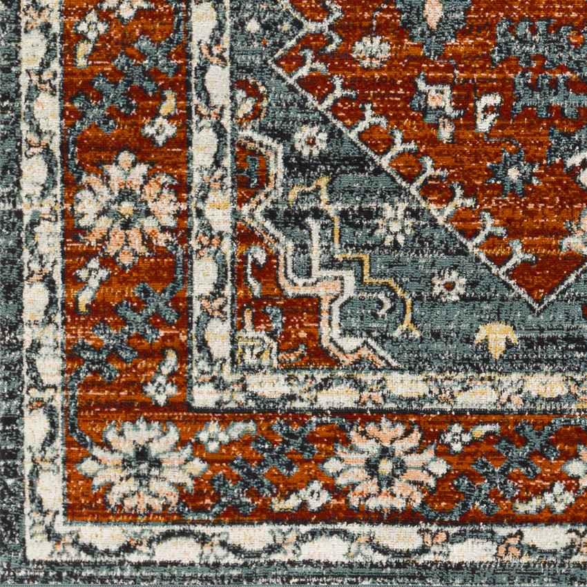 Andrews Traditional Burnt Orange Area Rug