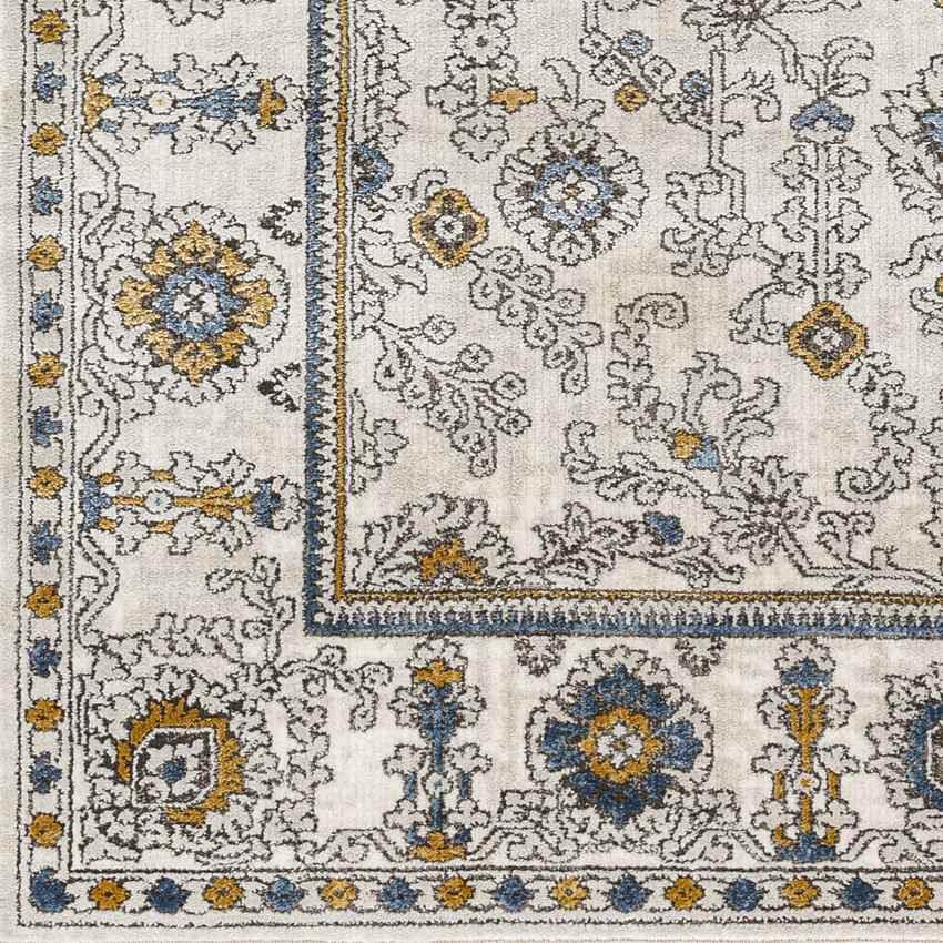 Andru Traditional Ivory Area Rug