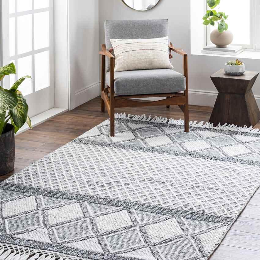 Angastina Global Charcoal Area Rug