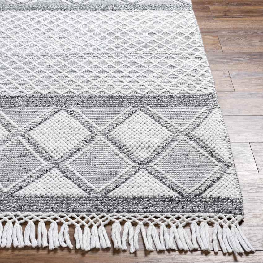 Angastina Global Charcoal Area Rug