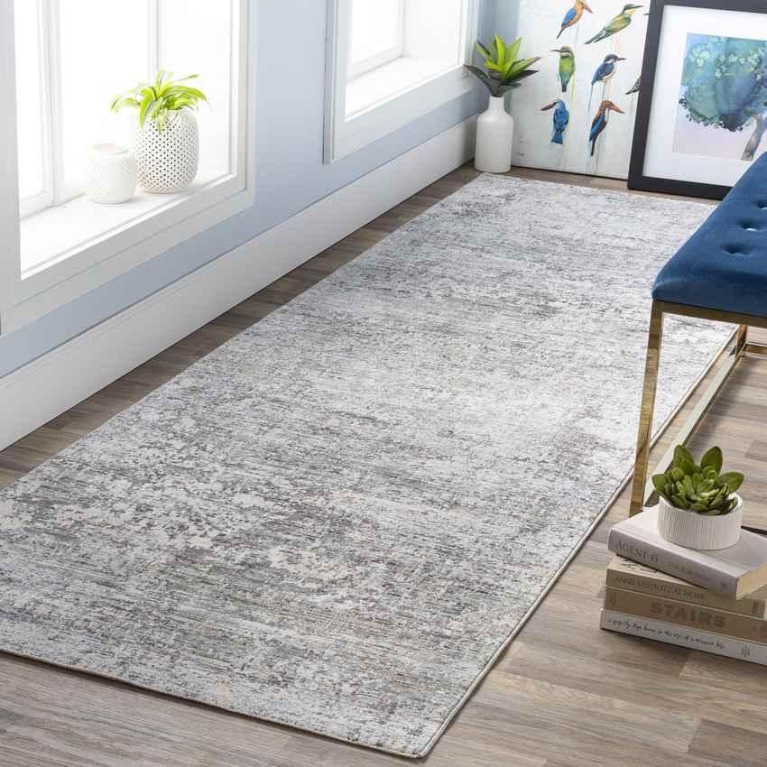 Angers Modern Medium Gray Area Rug